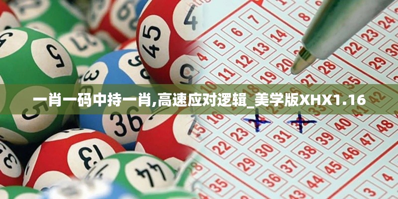 一肖一码中持一肖,高速应对逻辑_美学版XHX1.16