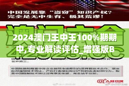 2024澳门王中王100%期期中,专业解读评估_增强版BSE1.33