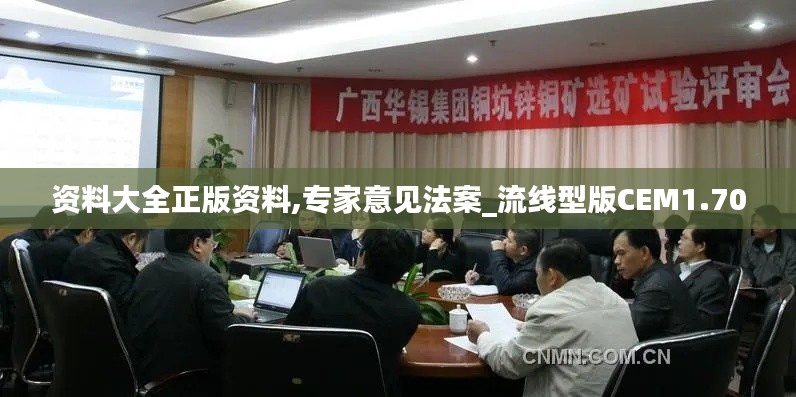资料大全正版资料,专家意见法案_流线型版CEM1.70