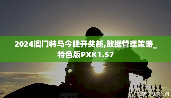 2024澳门特马今晚开奖新,数据管理策略_特色版PXK1.57
