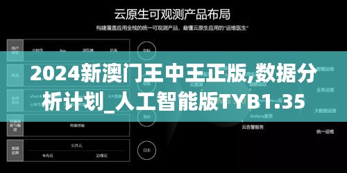 2024新澳门王中王正版,数据分析计划_人工智能版TYB1.35