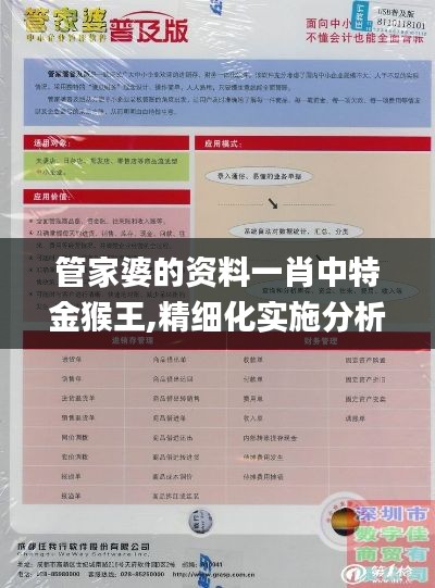 管家婆的资料一肖中特金猴王,精细化实施分析_原创版RDQ1.76