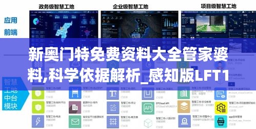 新奥门特免费资料大全管家婆料,科学依据解析_感知版LFT1.96