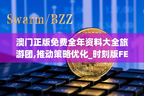 澳门正版免费全年资料大全旅游团,推动策略优化_时刻版FEX1.12