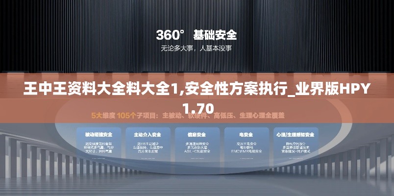 王中王资料大全料大全1,安全性方案执行_业界版HPY1.70