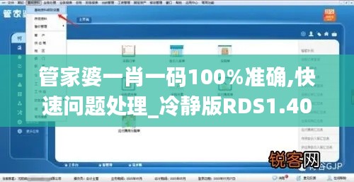 管家婆一肖一码100%准确,快速问题处理_冷静版RDS1.40