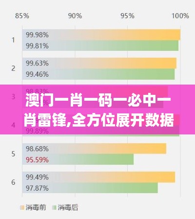 澳门一肖一码一必中一肖雷锋,全方位展开数据规划_DIY工具版SCD1.15