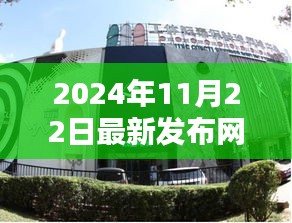 网鱼最新动态发布，聚焦网鱼新动向，洞悉行业趋势（2024年11月22日）