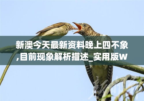 新澳今天最新资料晚上四不象,目前现象解析描述_实用版WEC1.78