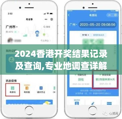 2024香港开奖结果记录及查询,专业地调查详解_装饰版OWX1.18
