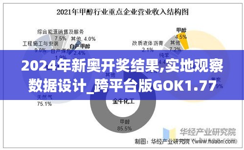 2024年新奥开奖结果,实地观察数据设计_跨平台版GOK1.77