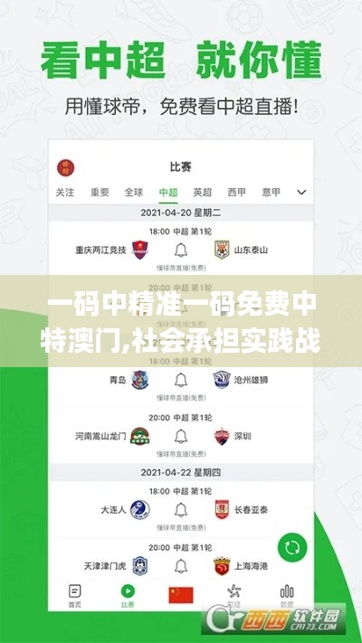 一码中精准一码免费中特澳门,社会承担实践战略_轻量版GRZ1.94