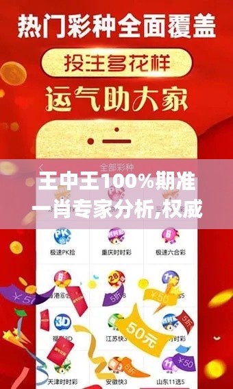 王中王100%期准一肖专家分析,权威解析方法_曝光版TPX1.3