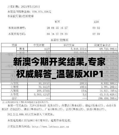 新澳今期开奖结果,专家权威解答_温馨版XIP1.36