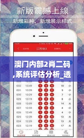 澳门内部2肖二码,系统评估分析_透明版UUJ1.76