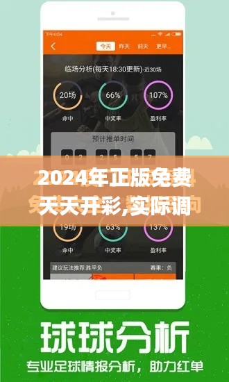 2024年正版免费天天开彩,实际调研解析_定制版BUQ1.48
