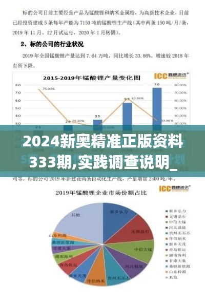 2024新奥精准正版资料333期,实践调查说明_安全版CUR11.11