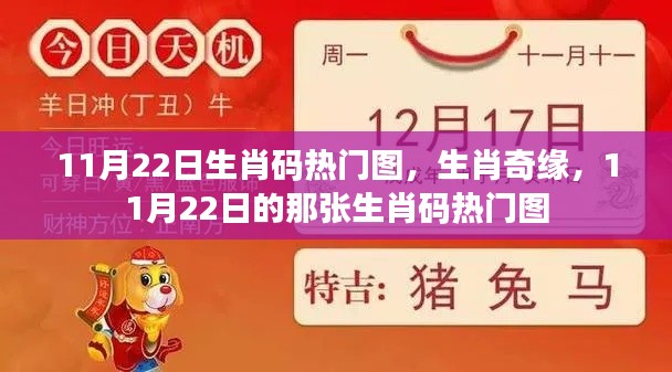 11月22日生肖码热门图揭秘，生肖奇缘的奥秘