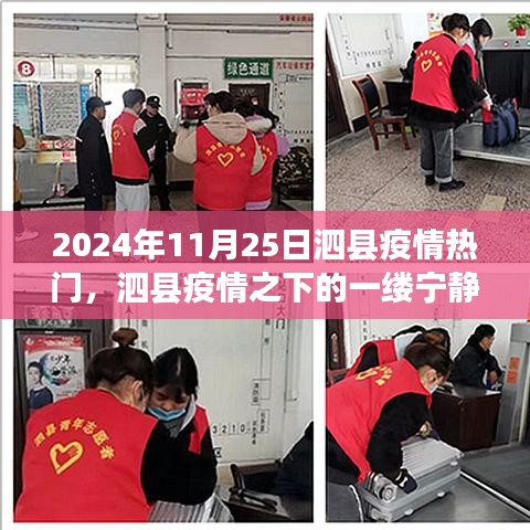 泗县疫情之下的自然之旅，心灵觉醒与宁静的庇护所