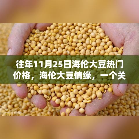 海伦大豆情缘，友情与温馨的11月25日日常故事热门价格揭秘