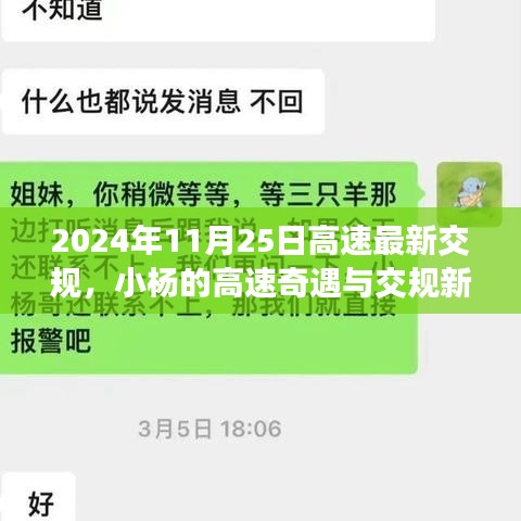 小杨的高速奇遇记，最新交规下的温馨友情日常故事（2024年11月25日）