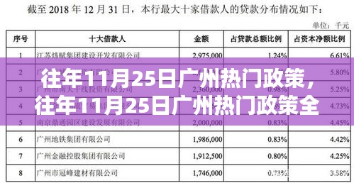 往年11月25日广州热门政策详解，特性、体验、竞品对比及用户群体全面分析