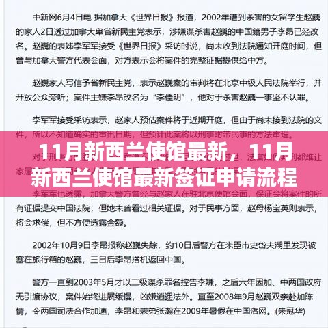 最新指南，11月新西兰使馆签证申请流程全解析