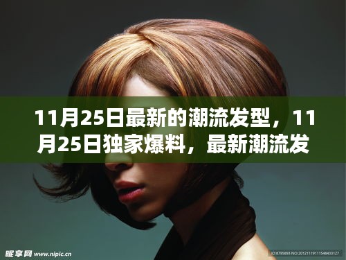独家爆料，最新潮流发型大解密，引领你的时尚新风尚（11月25日更新）