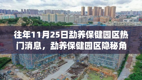 勐养保健园区隐秘宝藏小店揭秘，探寻往年11月25日的独特魅力之旅