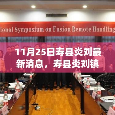 11月25日寿县炎刘镇最新消息全攻略，获取最新更新信息