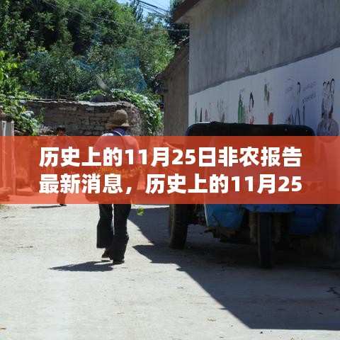 历史上的11月25日非农报告深度解析，最新消息及其深远影响