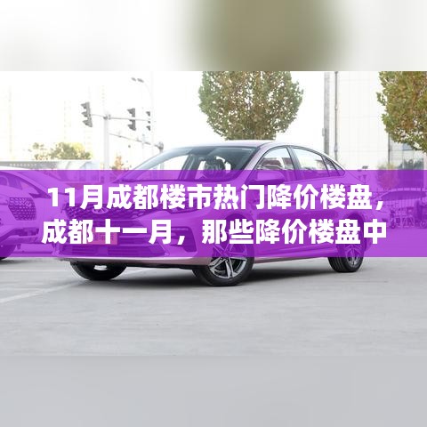 11月成都楼市热门降价楼盘，成都十一月，那些降价楼盘中的温情故事