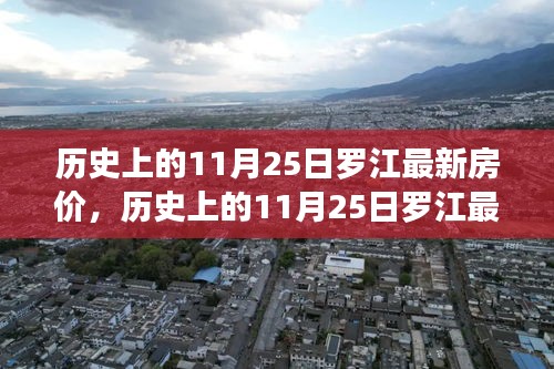 罗江最新房价深度评测，历史走势、特性体验、竞品对比与用户群体分析