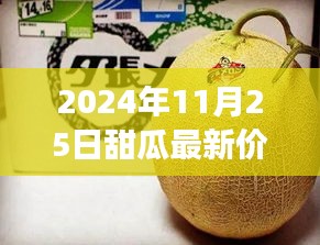 甜瓜新价格背后的故事，变化的力量与自信的成就（2024年11月25日）