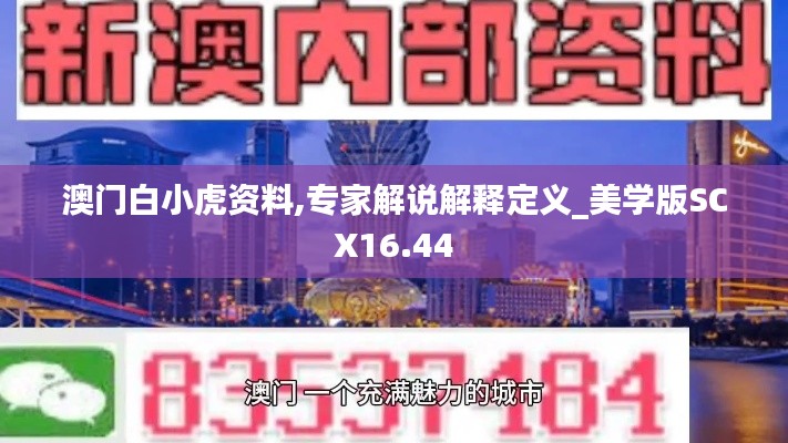 澳门白小虎资料,专家解说解释定义_美学版SCX16.44