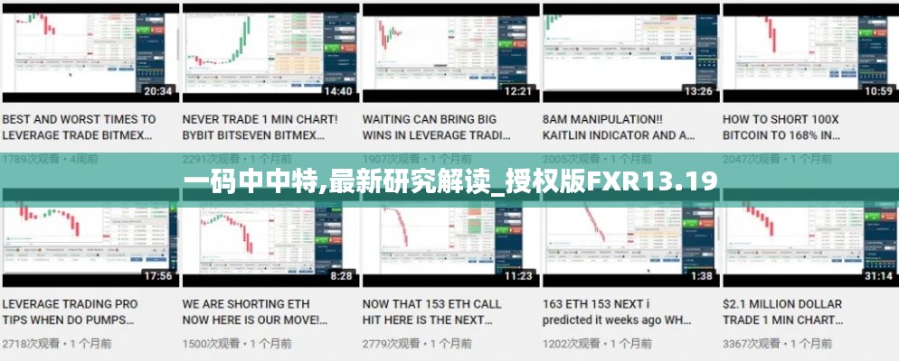 一码中中特,最新研究解读_授权版FXR13.19
