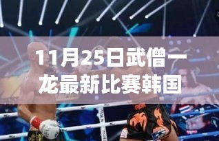 武僧一龙韩国赛场之旅，比赛直播与观赛指南（适合初学者与进阶用户）