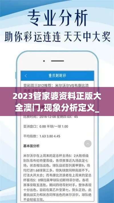 2023管家婆资料正版大全澳门,现象分析定义_娱乐版MDY16.95