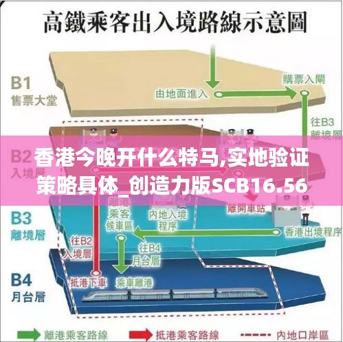 香港今晚开什么特马,实地验证策略具体_创造力版SCB16.56