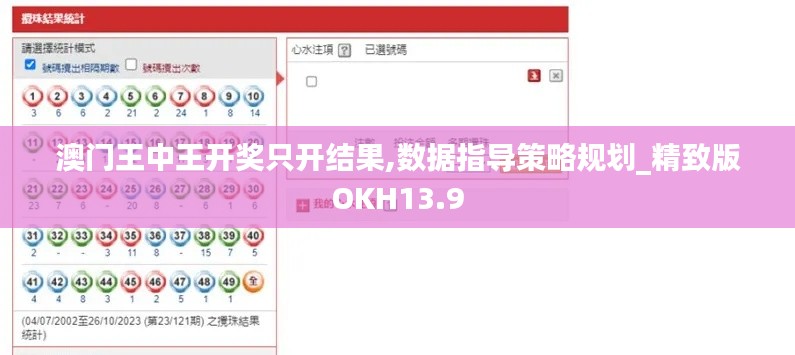 澳门王中王开奖只开结果,数据指导策略规划_精致版OKH13.9