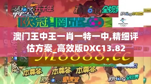 澳门王中王一肖一特一中,精细评估方案_高效版DXC13.82