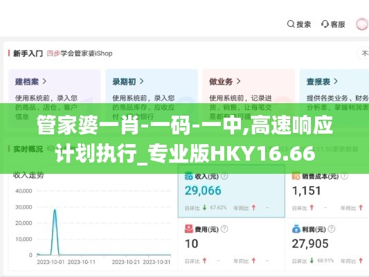 管家婆一肖-一码-一中,高速响应计划执行_专业版HKY16.66