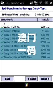 澳门一码一码100准确,释意性描述解_钻石版HGV16.2