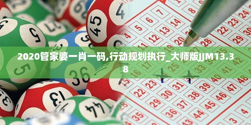 2020管家婆一肖一码,行动规划执行_大师版JJM13.38