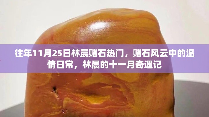 林晨赌石风云，十一月奇遇与温情日常