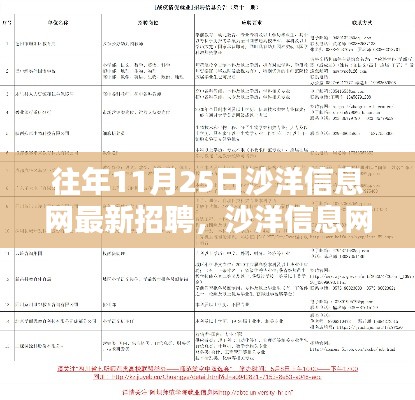 沙洋信息网独家揭秘，历年11月25日最新招聘全攻略速递✨