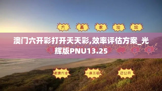 澳门六开彩打开天天彩,效率评估方案_光辉版PNU13.25