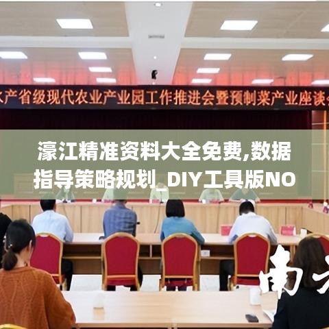 濠江精准资料大全免费,数据指导策略规划_DIY工具版NOV13.35