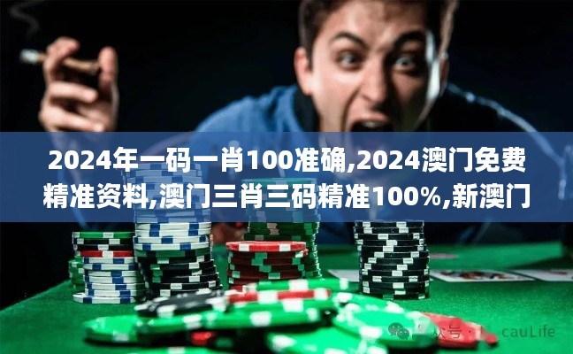 2024年一码一肖100准确,2024澳门免费精准资料,澳门三肖三码精准100%,新澳门彩,统计信息解析说明_数字处理版HFZ13.87
