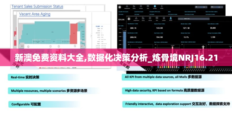 新澳免费资料大全,数据化决策分析_炼骨境NRJ16.21